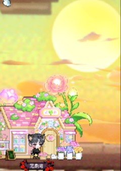 枯萎之花上的眼淚